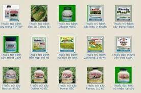 BẢO VỆ THỰC VẬT 1 TRUNG ƯƠNG 7