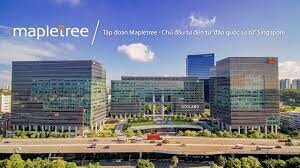 Mapletree 7