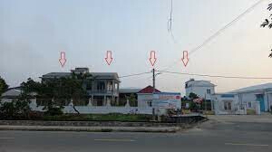 Golden Tiger Vietnam 10