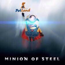 PETLAND VIỆT NAM 8