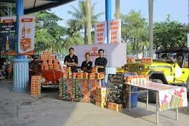 Thương Mại Đầu Tư Phương Linh 8