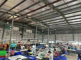 Golden Tiger Vietnam 8