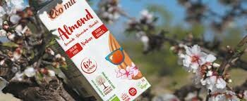 CÔNG TY TNHH ĐẦU TƯ NGỌC THỊNH PHÁT 8