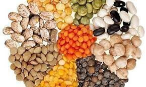 Vận chuyển Green One 3