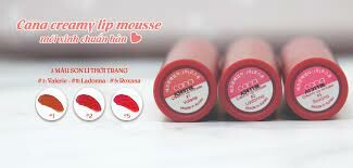 Công Ty TNHH Cana Young 2