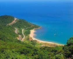 Tập Đoàn Đầu Tư Việt Phương 5