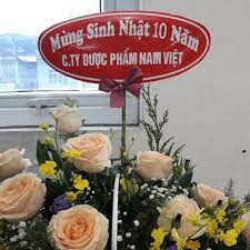 Dược phẩm Nam Việt 6