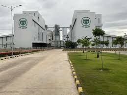 Hải Đại Thành 5