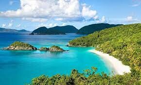 BIGGREEN VIỆT NAM 9