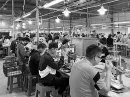 Golden Tiger Vietnam 6