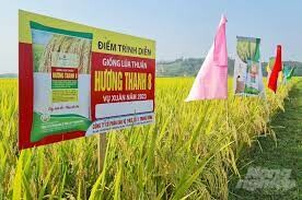 BẢO VỆ THỰC VẬT 1 TRUNG ƯƠNG 1