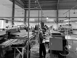 Golden Tiger Vietnam 5