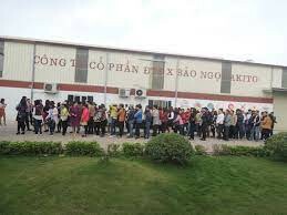 Sản xuất Bảo Ngọc 10