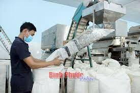 Hải Hưng Group 12