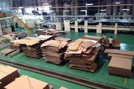 Bao Bì Hương Sen 5