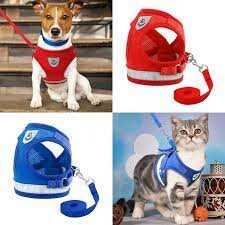 PETLAND VIỆT NAM 3