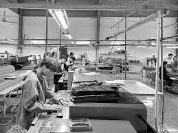 Golden Tiger Vietnam 4