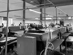 Golden Tiger Vietnam 3