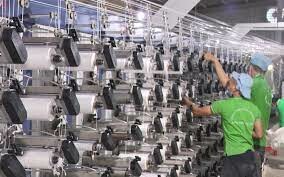 Bao Bì Hương Sen 3