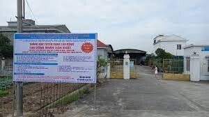 Golden Tiger Vietnam 2