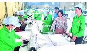 Bao Bì Hương Sen 2