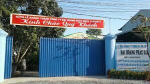 Đại Hoàng Mỹ 7