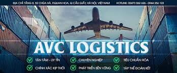 AVC Việt Nam 8