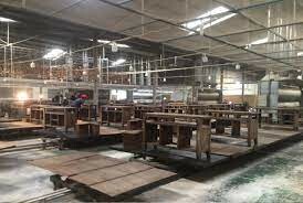 Đại Hoàng Mỹ 6