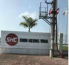 Shinheung Vina 10