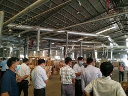 Đại Hoàng Mỹ 4