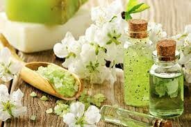 Mỹ Phẩm Organic 3