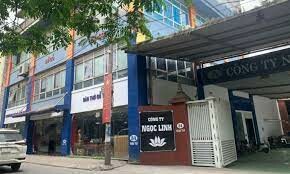 Đại Hoàng Mỹ 3