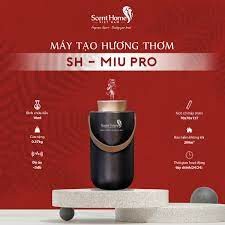 Scent Homes Việt Nam 4