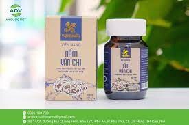 DƯỢC PHẨM AN DƯỢC VIỆT 3