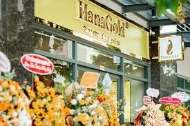 Vàng Bạc Đá Quý HanaGold 11