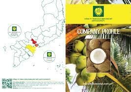 Dừa định phú mỹ 10