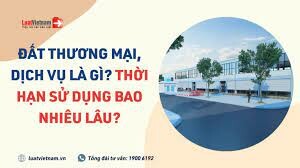 Thương Mại Dịch Vụ Tam Tài Nhân 9