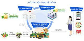 SORIMACHI VIỆT NAM 7