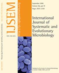 SYSTEMATIC FUNCTIONS 6