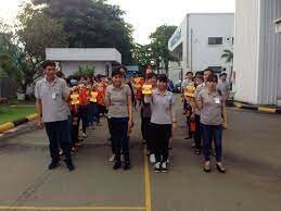 Gre Alpha Electronics 7