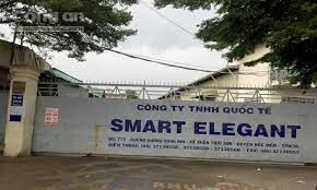 Công ty quốc tế Smart Elegant 10