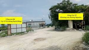 Xi Măng Bạch Đằng 10