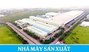 MATHOME VIỆT NAM 8