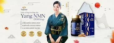 CÔNG TY TNHH BIHANA 8