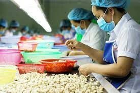 Thực Phẩm Hoàng Sơn 9