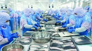 Công Ty TNHH Mãi Tín 8