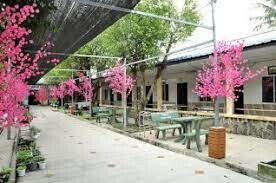 An Dưỡng Bình Mỹ 10