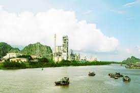 Xi Măng Bạch Đằng 7