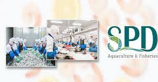 Thủy Sản Miền Trung - SEADANANG 10