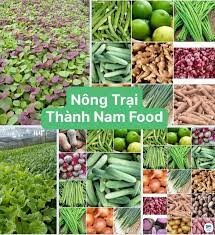 THỰC PHẨM TƯƠI VÀ AN TOÀN FS 8